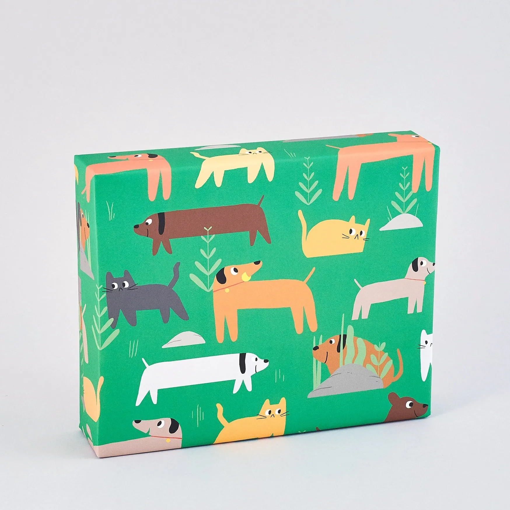 Cats and Dogs Gift Wrap