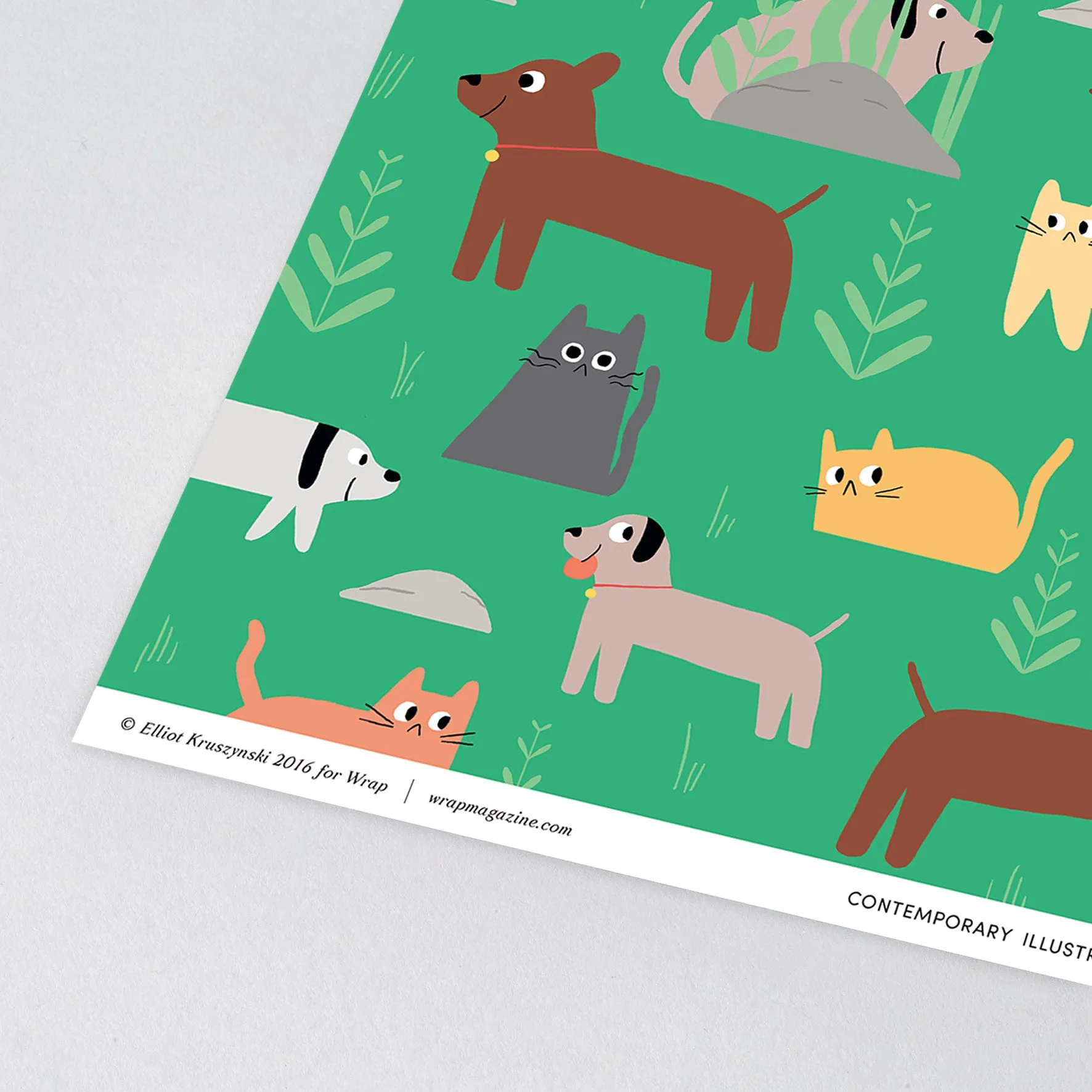 Cats and Dogs Gift Wrap