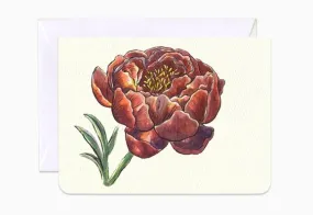 Peony Queen of Flowers- Mini Card